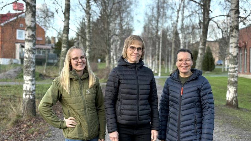 Kirsti Lepistö (kesk.) kollegojensa kanssa neuvoo tuottajia Salon maaseutupalveluissa.