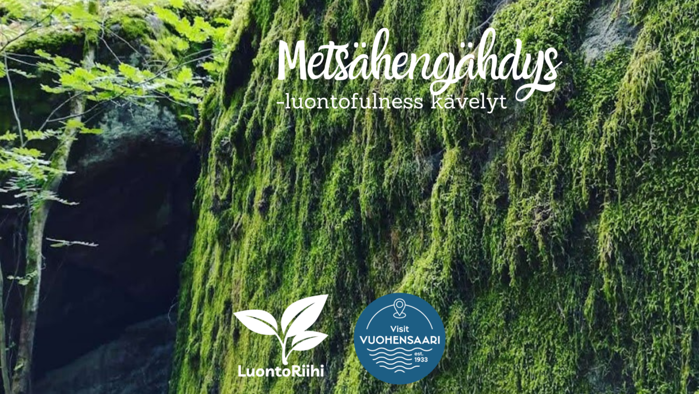 Metsähengähdys -kävelyt Vuohensaaressa