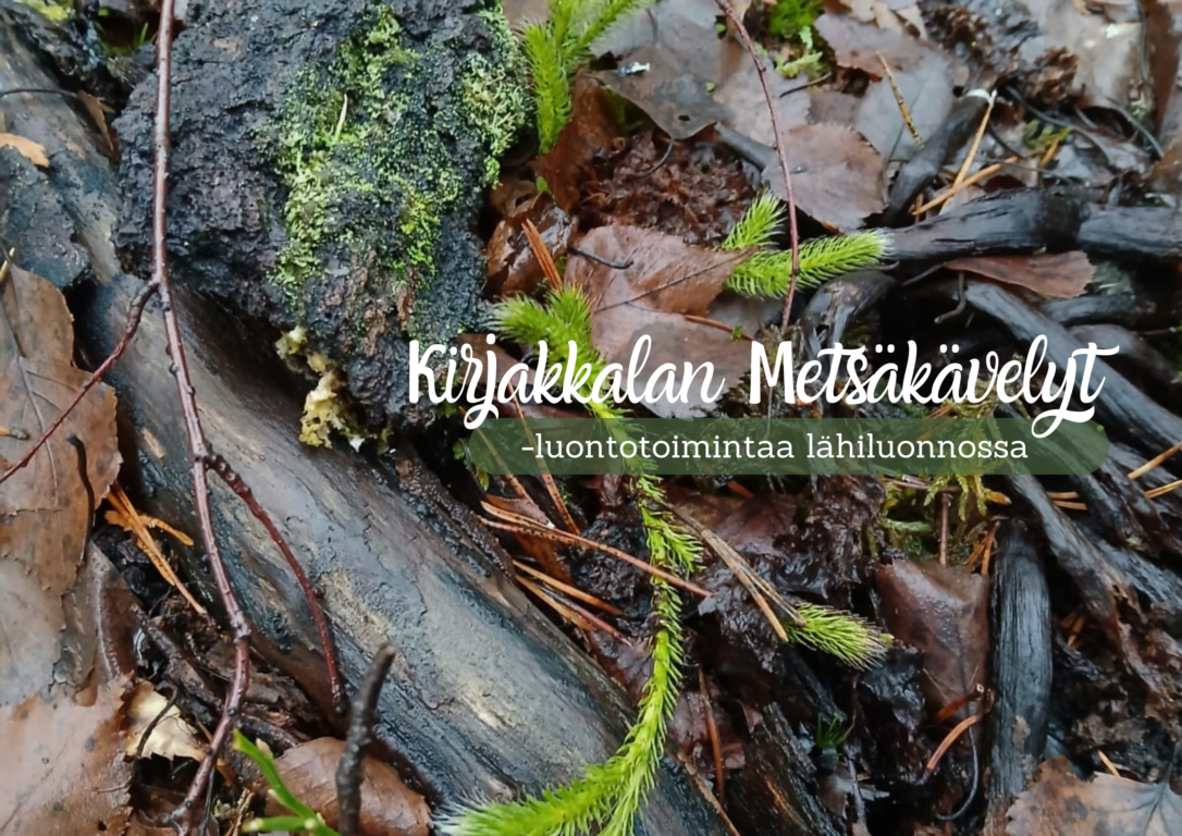 Kirjakkalan Metsäkävelyt