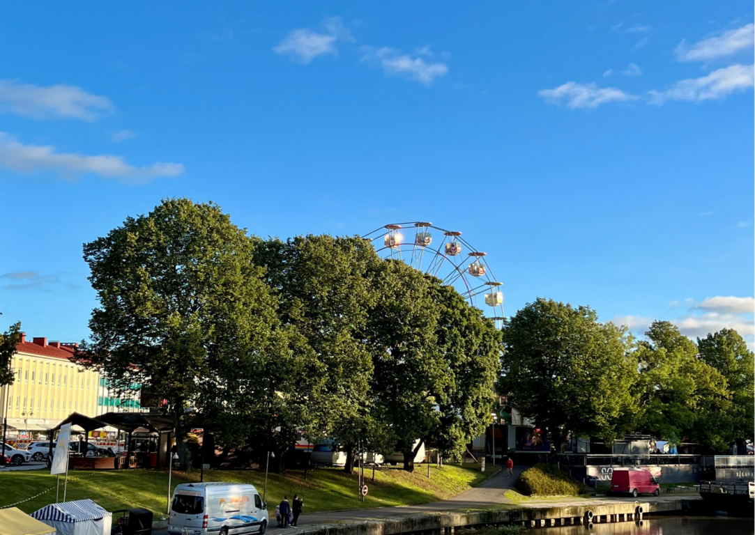 Työllisyyspalveluiden syysmarkkinat