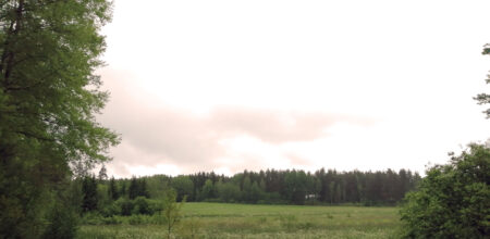 Tavolannummen asemakaavaluonnoksen keskustelutilaisuus